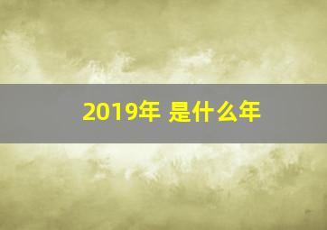 2019年 是什么年